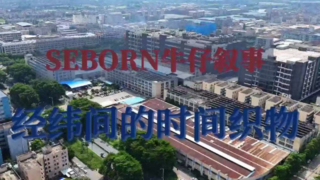 The Introduction of Seborn Textile Company